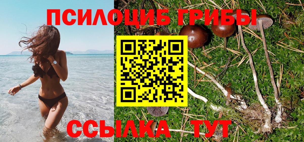 Галлюциногенные грибы ЛСД Гусиноозёрск